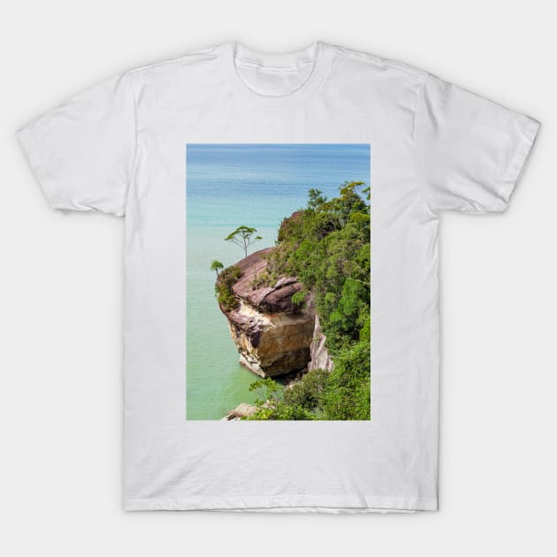 Cliff and trees at ocean shore landscape T-Shirt by Juhku